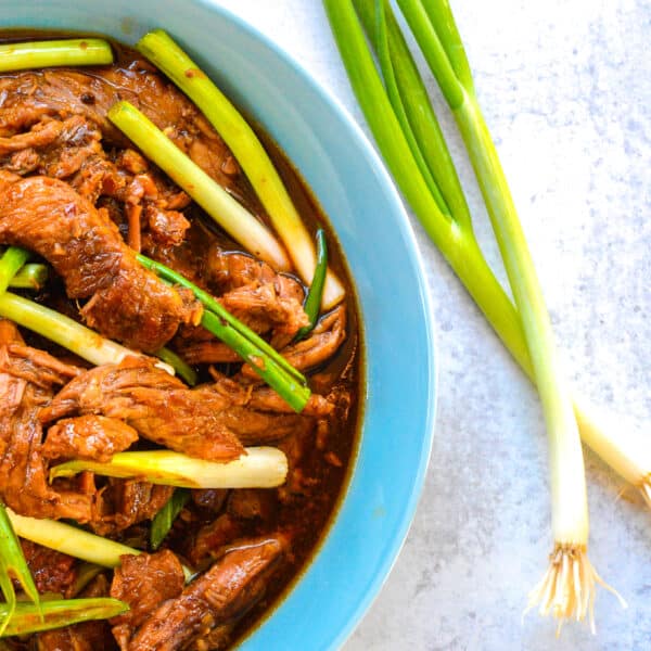 Stew meal with green onions