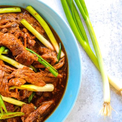 Stew meal with green onions