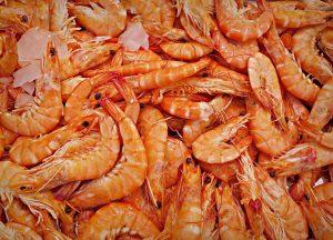 seafood delivery orlando
